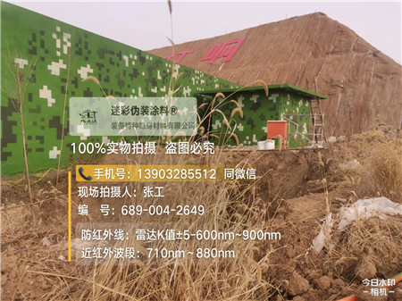 石柱星空迷彩墙施工队