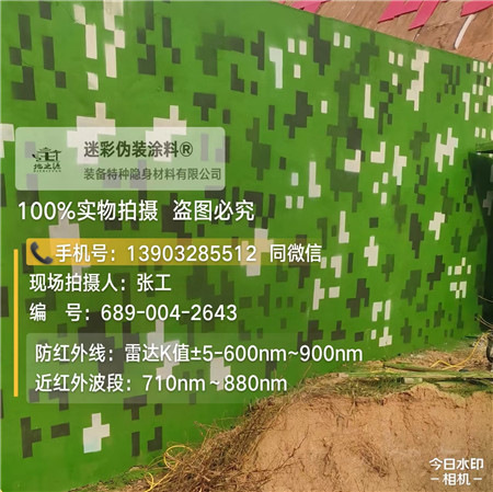 石柱星空迷彩漆，夏令营训练,数码迷彩作训墙,围墙